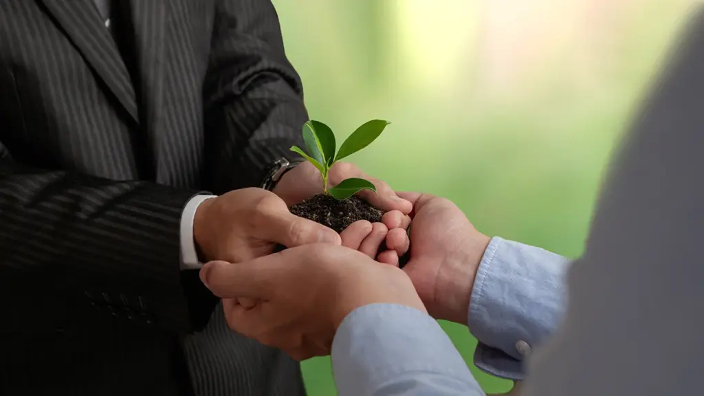 Close-up of two business professionals exchanging a small plant growing in soil, symbolizing the partnership between development and sustainability for a greener future.